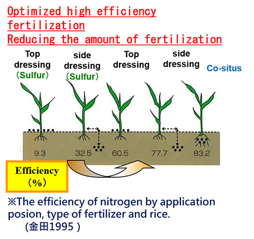 Coated Fertilizer Function And Characteristics